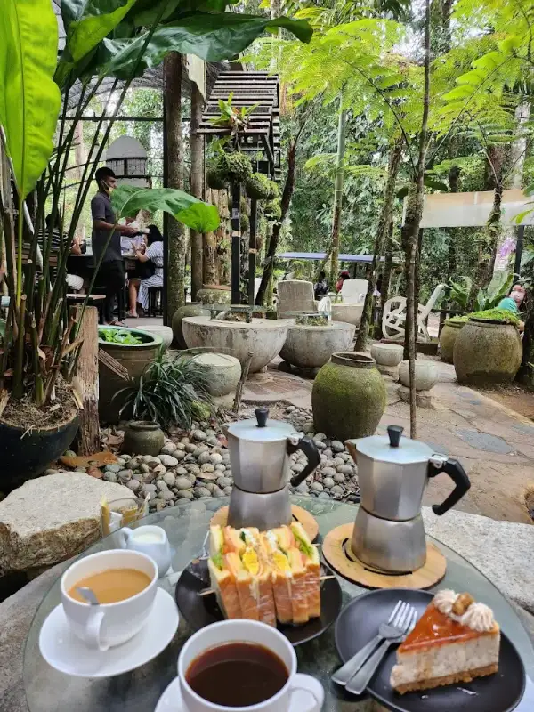 Kopi Hutan