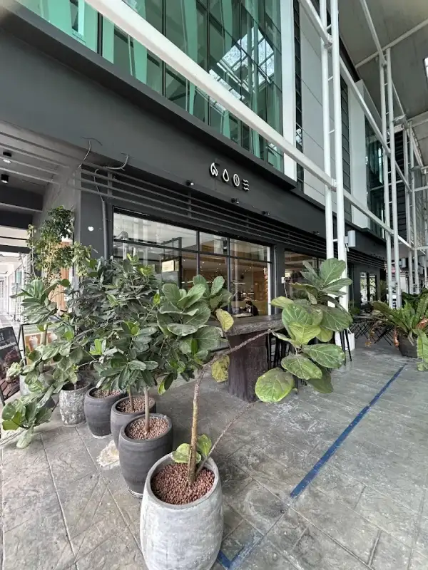 Elementary Coffee Roasters