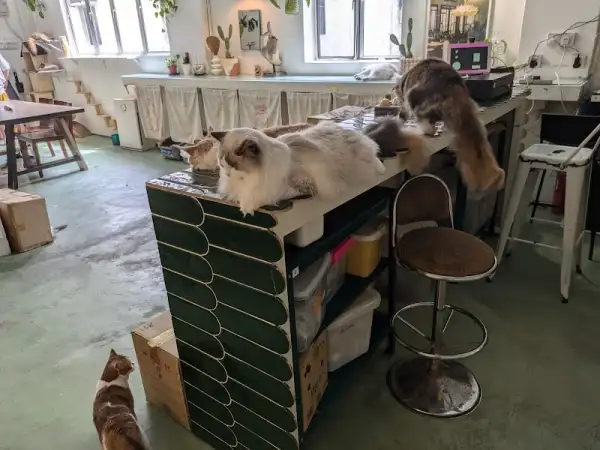 Monster. A Garden Cafe